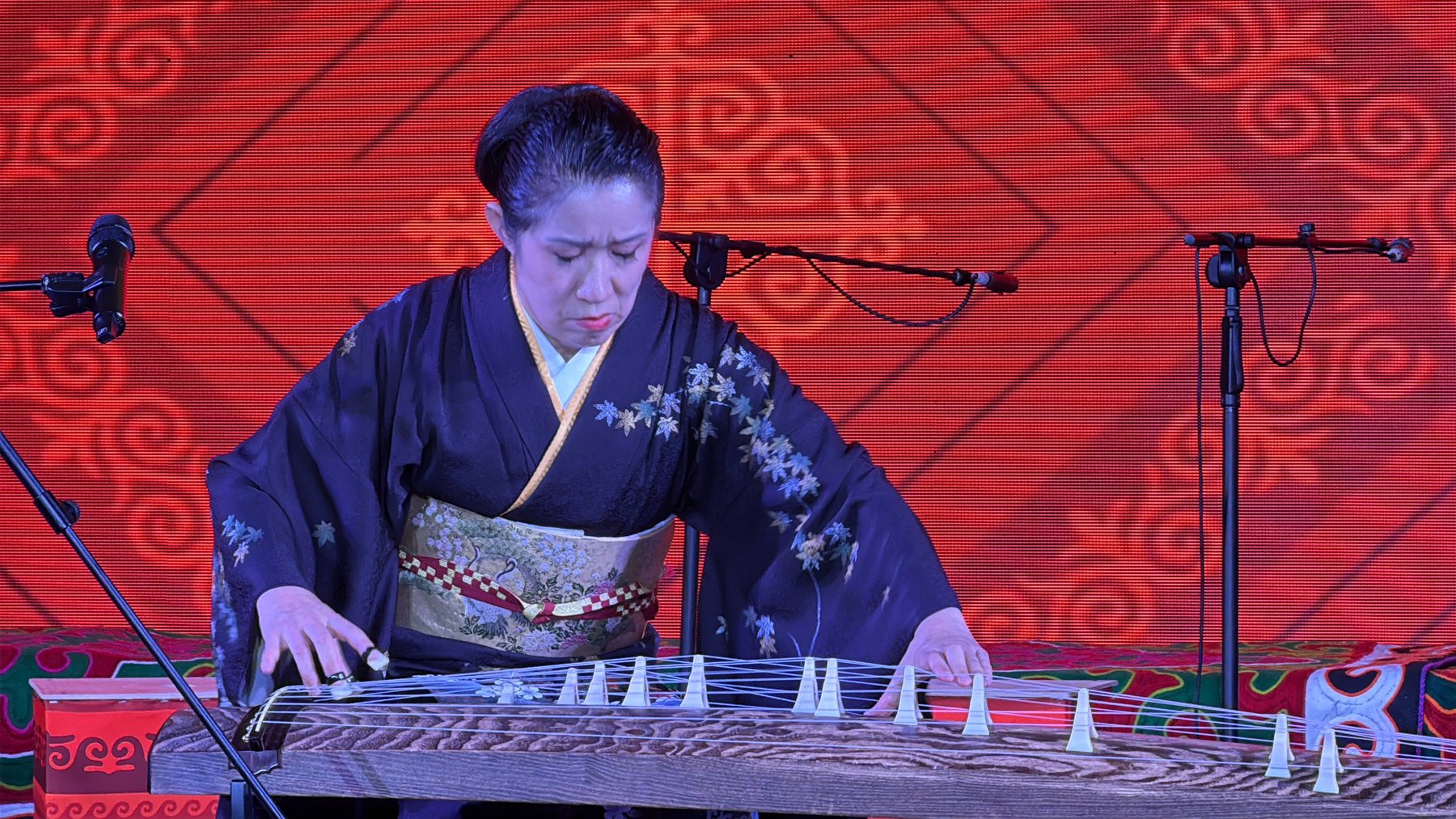 A musician performing on a horizontal string instrument under blue and red stage lights.